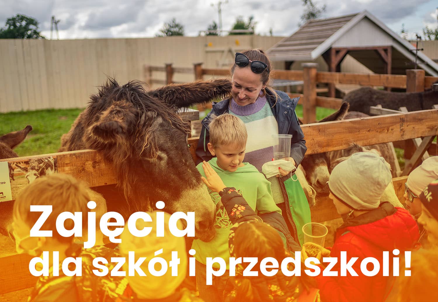 DonkeySzot Mini ZOO w Rogozine. zajęcia dla szkół i przedszkoli